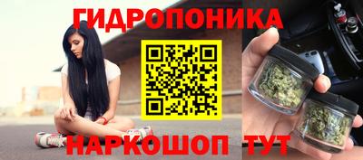 хмурый Новокубанск