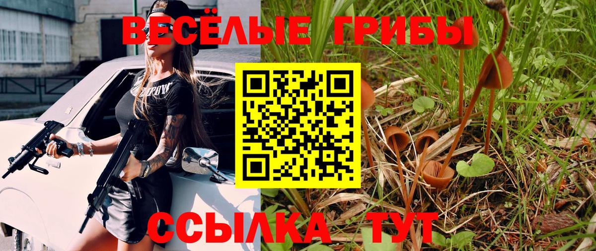 Галлюциногенные грибы Psilocybine cubensis Павлово
